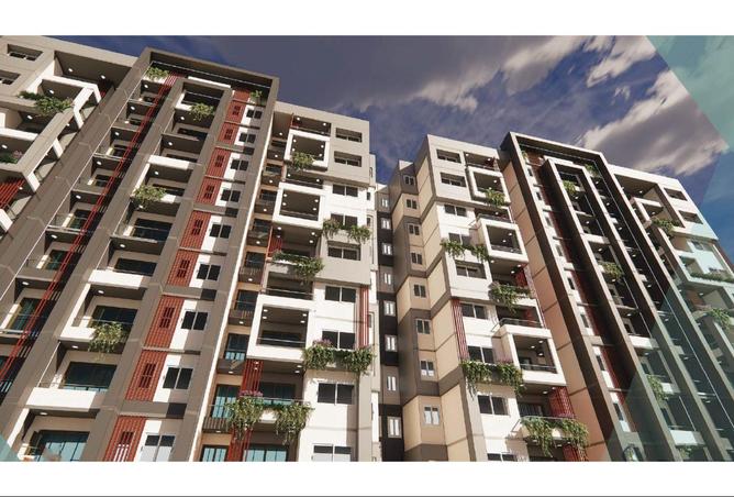 8119962 - Property Image 3