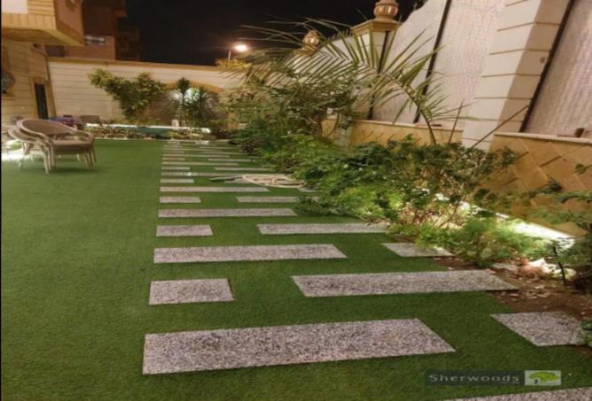 8120156 - صورة العقار 3