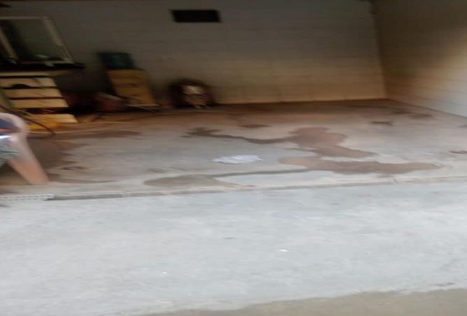 8120313 - Property Image 3