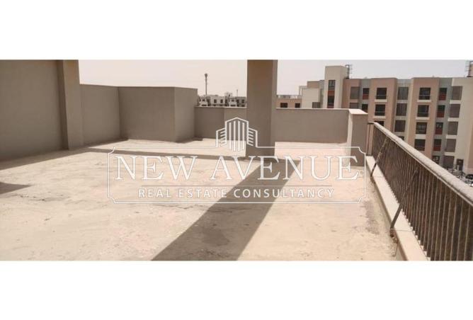 8363381 - صورة العقار 2