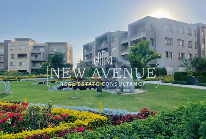 8120883 - Property Image 3