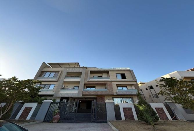 8121289 - Property Image 3