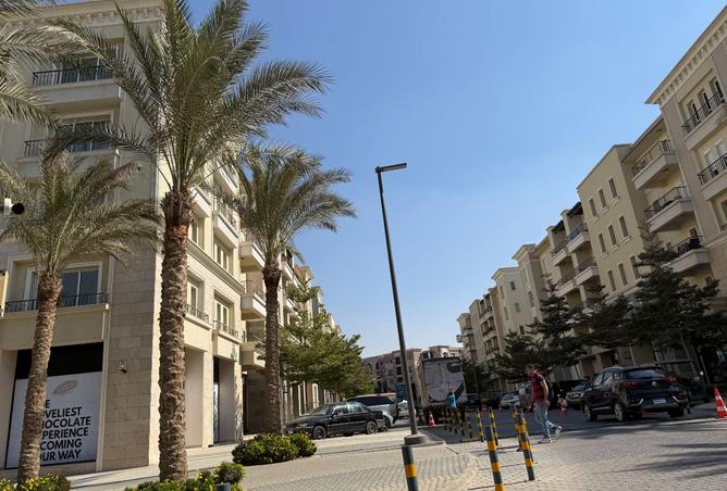 8124010 - صورة العقار 3