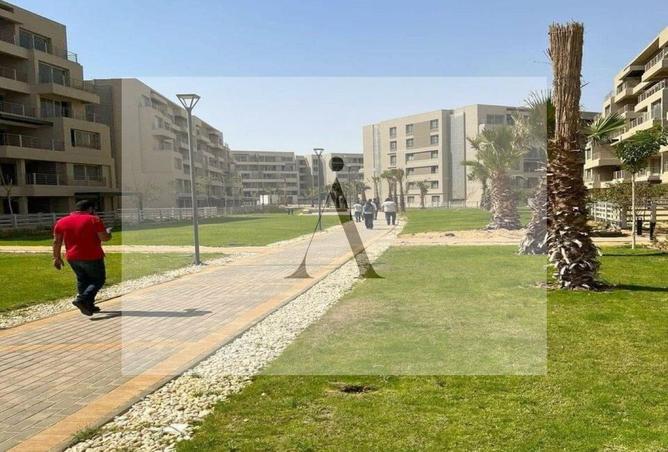 8122544 - Property Image 2