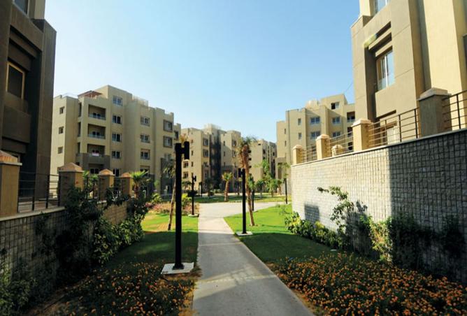 8123879 - Property Image 3