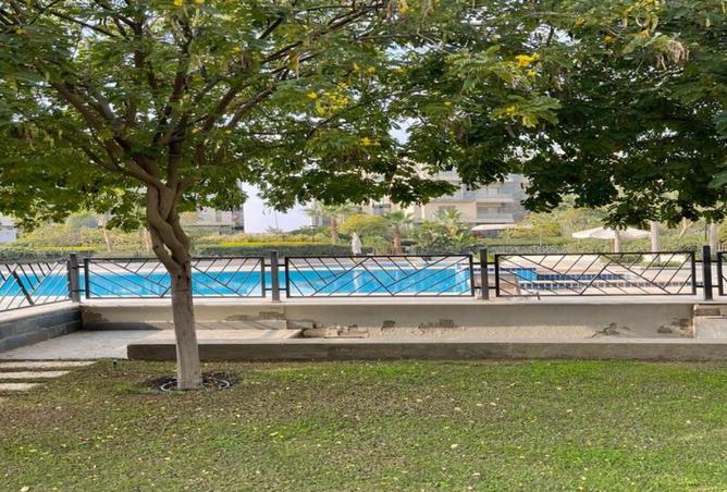 8122606 - Property Image 3