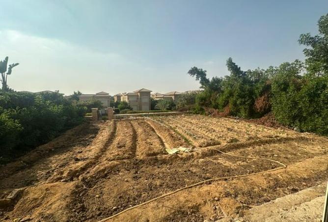 8122994 - صورة العقار 3