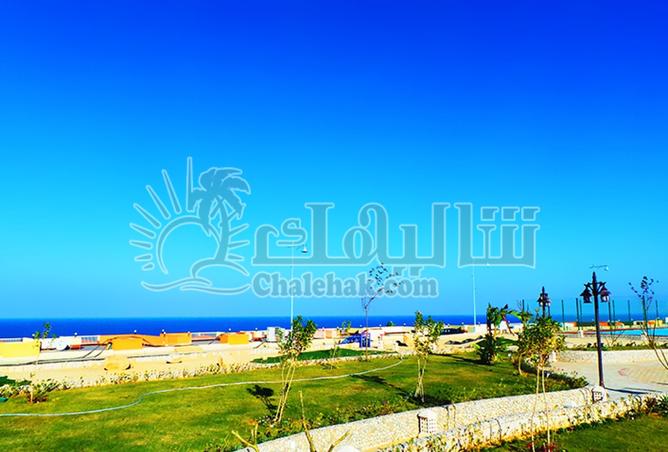 8122662 - Property Image 2