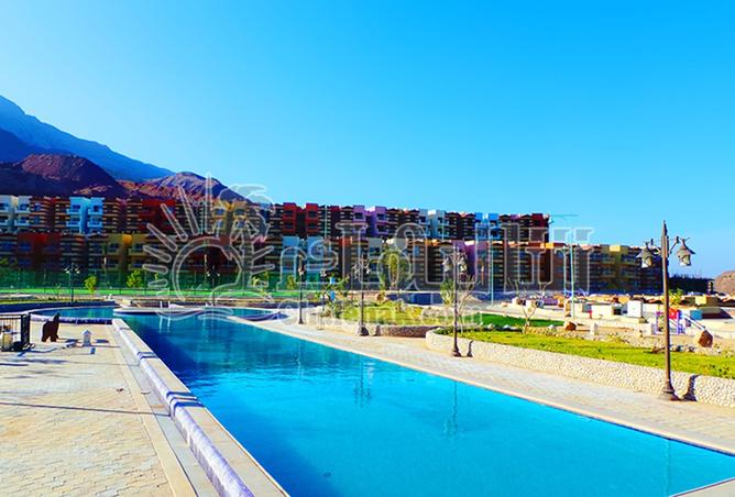 8122662 - Property Image 3