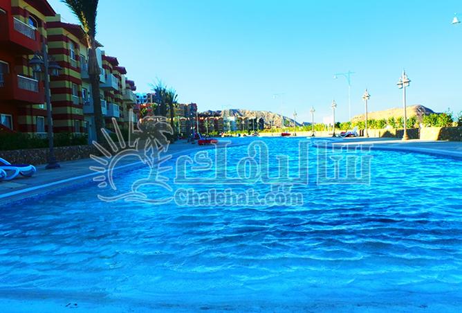 8122764 - Property Image 3