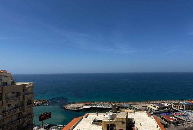 8124417 - Property Image 2