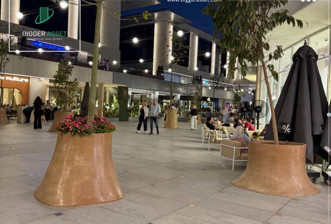 8124519 - صورة العقار 2