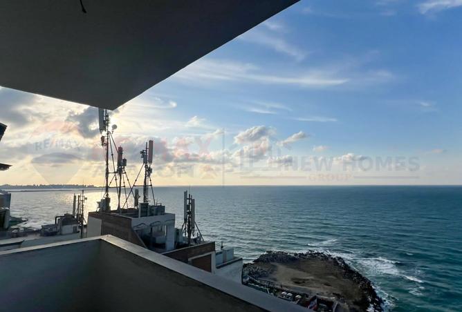 8051736 - صورة العقار 2