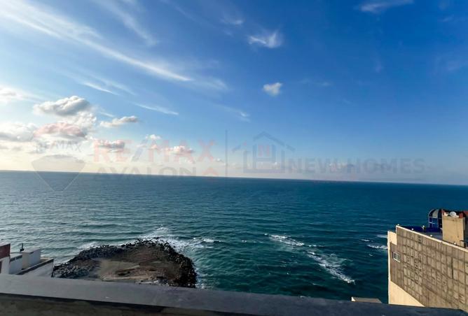 8051736 - الصورة الرئيسية للعقار