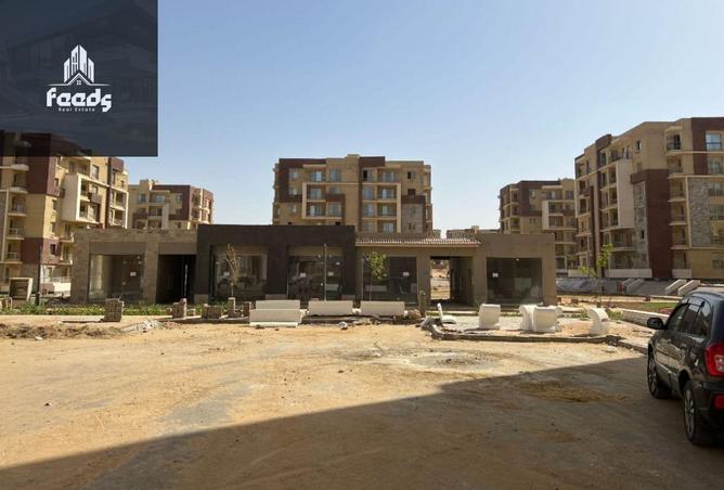 8125564 - Property Image 3