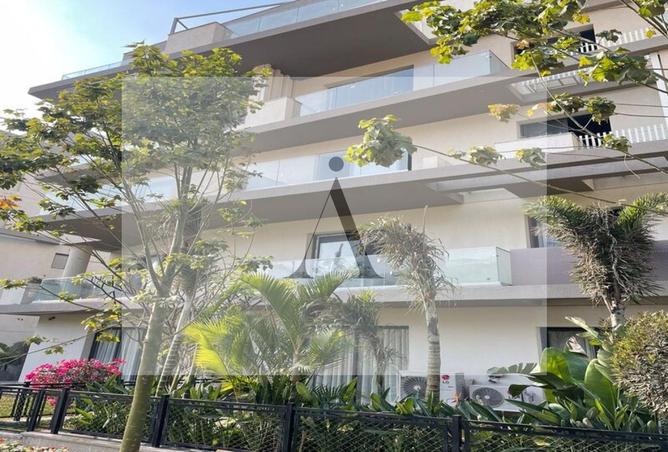 8125043 - Property Image 3