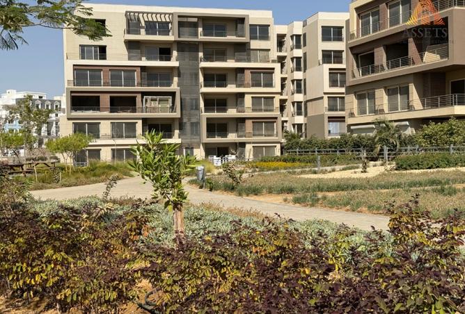 8126529 - الصورة الرئيسية للعقار