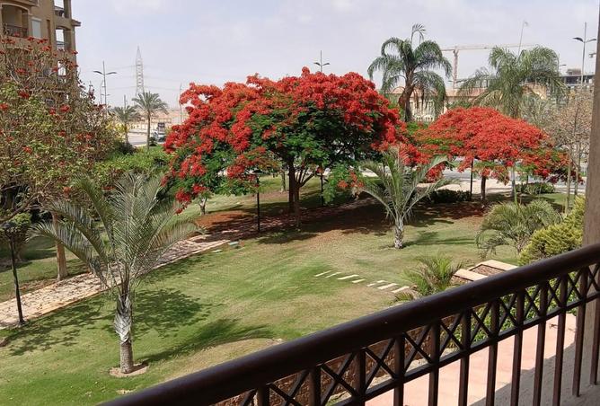 8126968 - صورة العقار 2