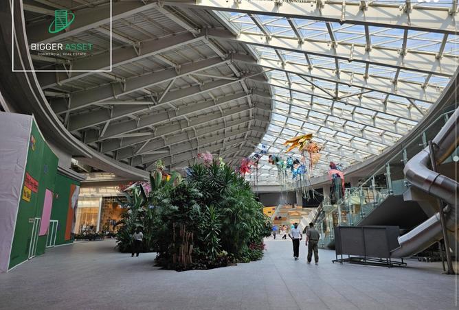 8127509 - الصورة الرئيسية للعقار