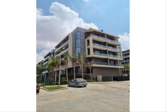 8128082 - Property Image 3