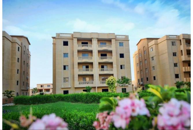 8128728 - صورة العقار 3