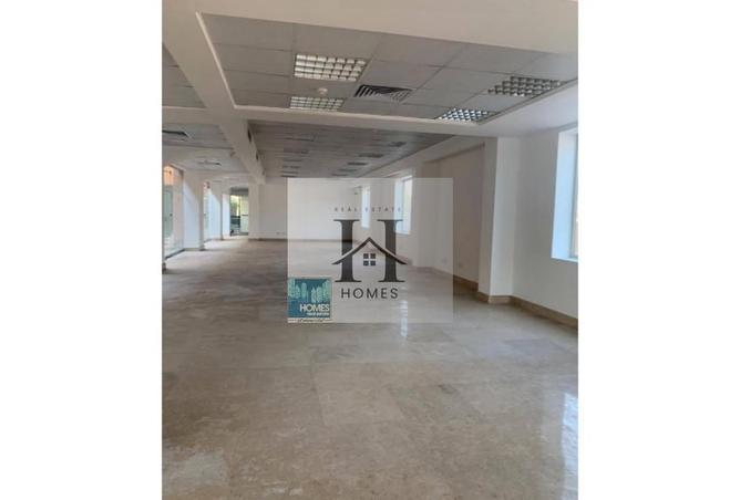 8128806 - صورة العقار 2