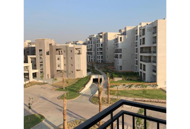 8291160 - Property Image 2