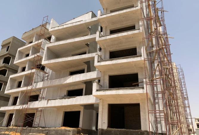 8129423 - Property Image 3