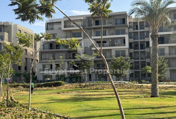 8141436 - Property Image 3