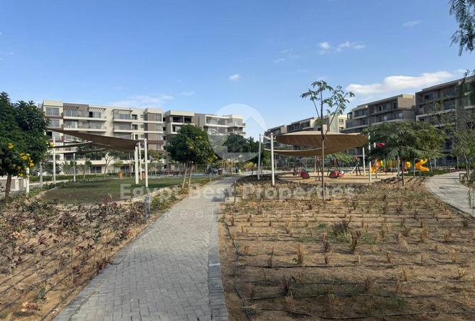 8141429 - صورة العقار 2