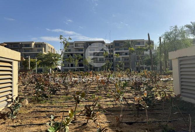 8141428 - Property Image 3