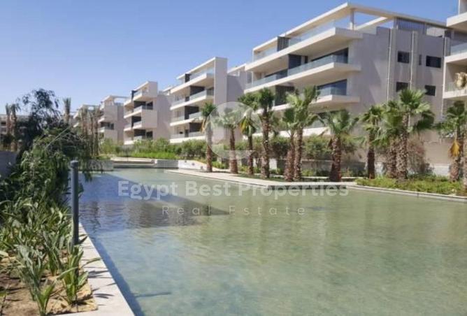 8141427 - Property Image 3