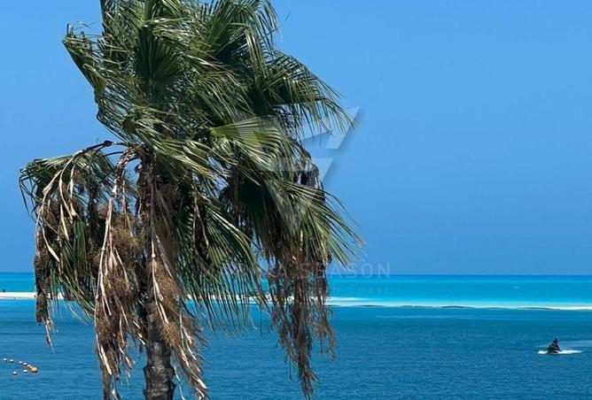 8130185 - Property Image 3