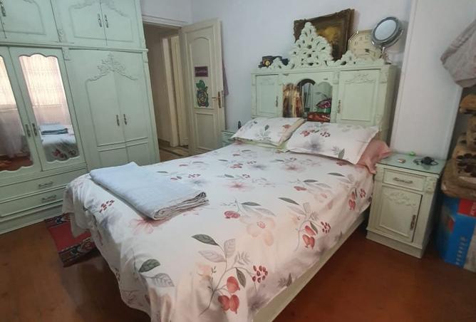 8130343 - Property Image 3