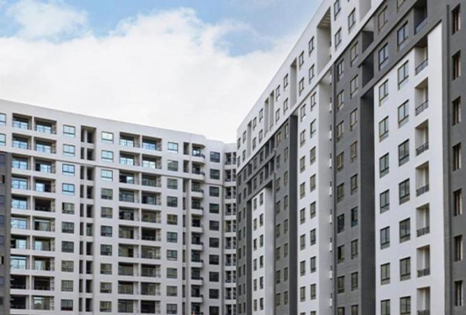 8133196 - Property Image 3