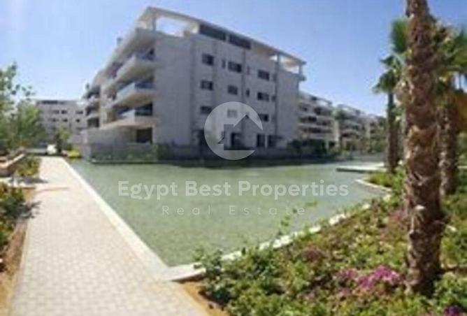 8141416 - Property Image 3