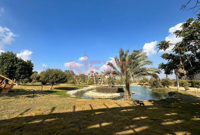 8130715 - صورة العقار 2