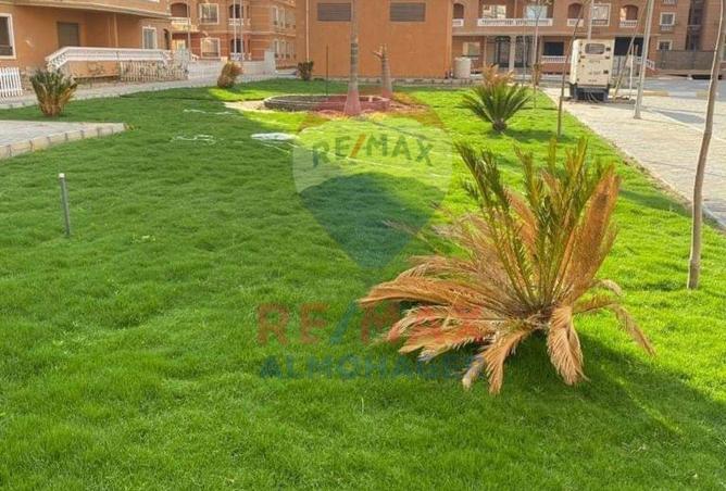 8316281 - Property Image 3