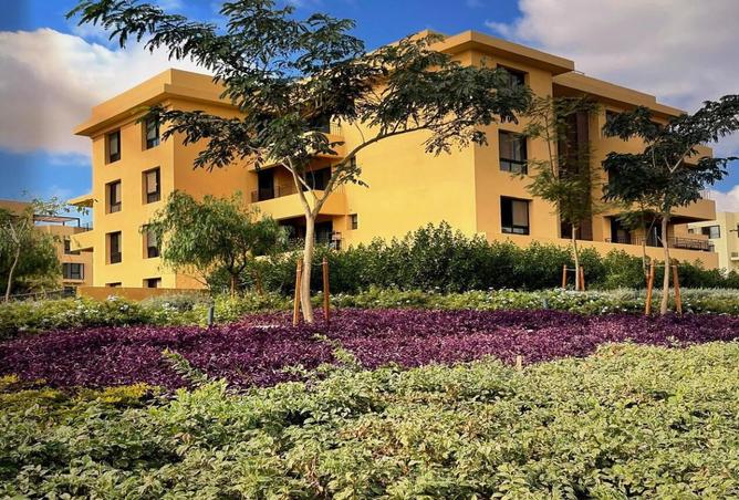 8131823 - Property Image 2