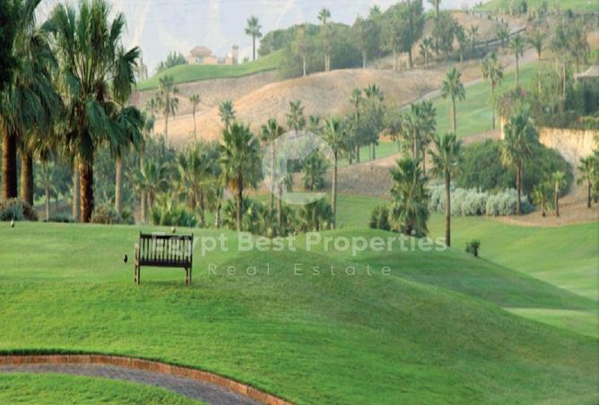 8159915 - صورة العقار 3