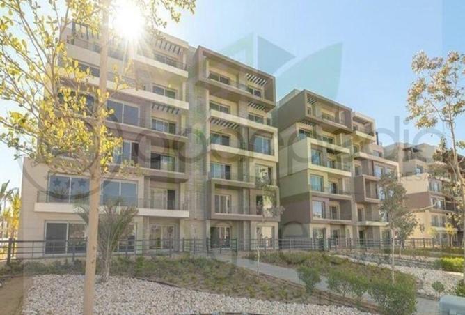 8368969 - Property Image 2