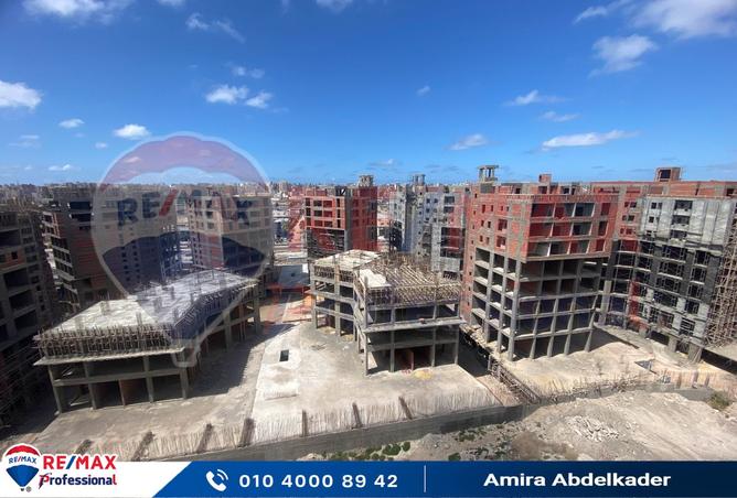 8131665 - صورة العقار 2