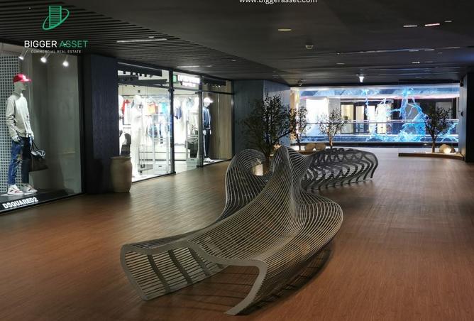 8131611 - صورة العقار 3