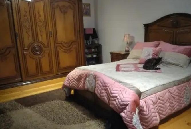 8131864 - صورة العقار 3