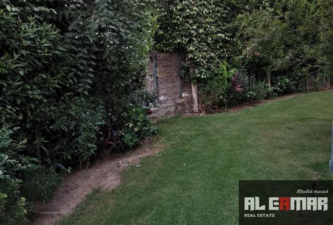 8149863 - صورة العقار 3