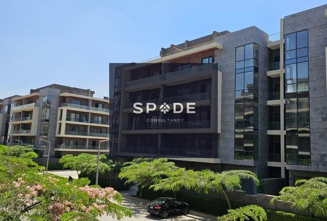 8132186 - Property Image 3