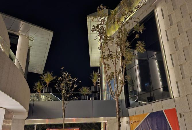 8132624 - صورة العقار 3