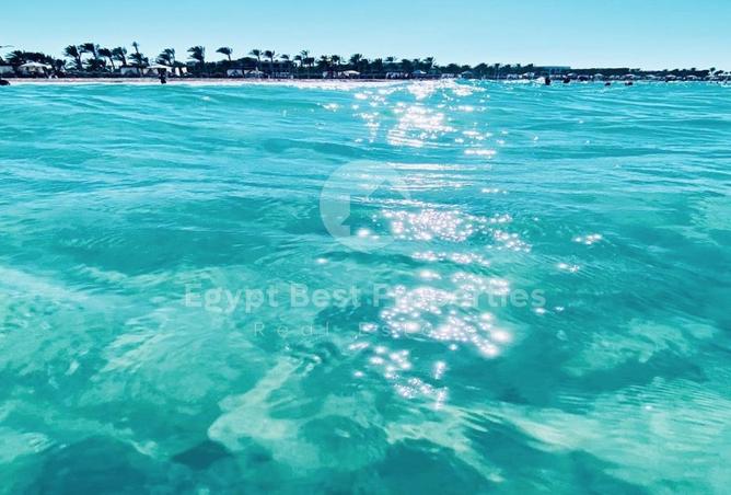 8133810 - صورة العقار 3