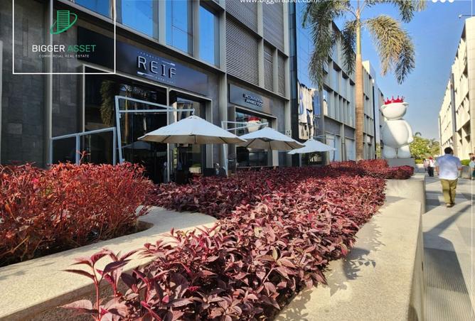 8133774 - الصورة الرئيسية للعقار