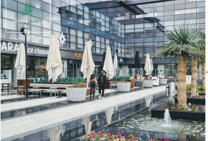 8133952 - صورة العقار 2